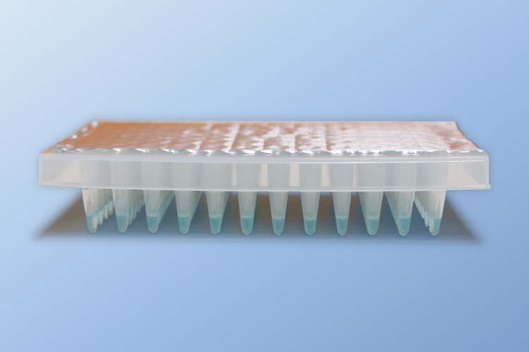 大象视颇dxvv55xyz